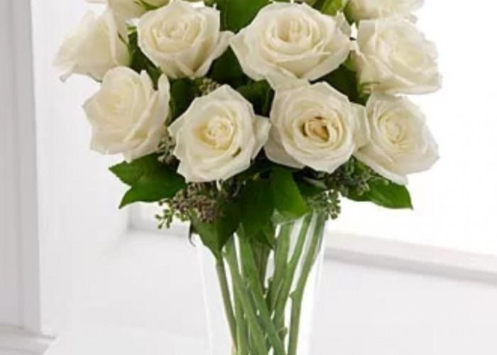 Auto Wangi Semerbak! Ini 5 Tanaman Hias Indoor yang Bisa Jadi Pengharum Ruangan Alami dengan Visual Estetik