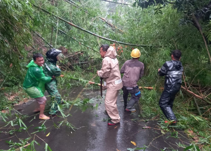 Duh! Jalan Leuwiseeng Tertutup Longsor Rumpun Bambu