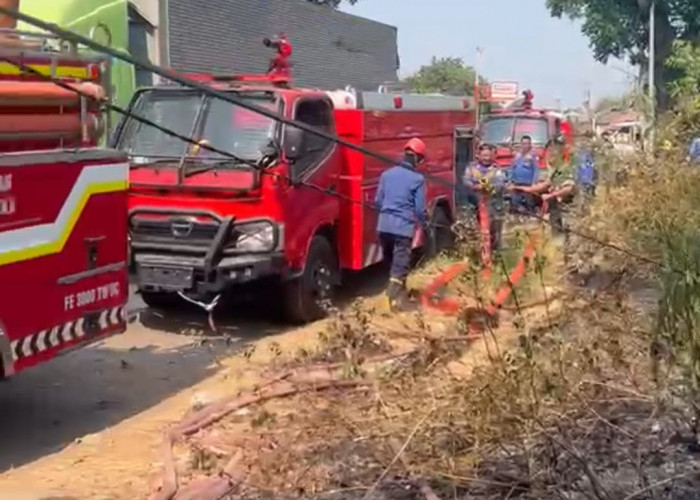 244 Kebakaran Terjadi di Majalengka, Ironisnya Hanya Dua Mobil Damkar Siap Beroperasi