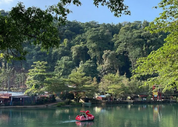 5 Rekomendasi Wisata Liburan Anak di Majalengka dengan Aktivitas Seru dan Menyenangkan, Gak Cuma Berenang!