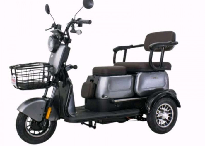 Murah & Multifungsi! Ini Daftar Motor Listrik Roda 3 Viar, Muatan Besar & Harga Mulai Rp10 Jutaan