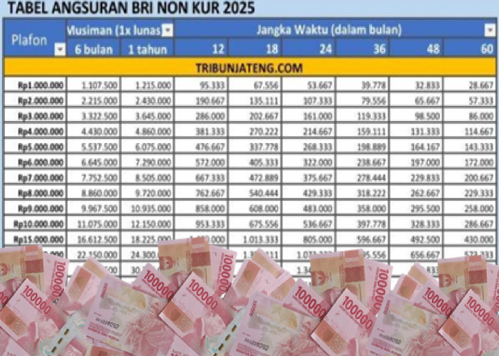 UMKM Waktunya Coba Non KUR BRI 2025! Cicilan Ringan, Plafon Lebih Fleksibel, Simak Tabel Angsuran Lengkapnya