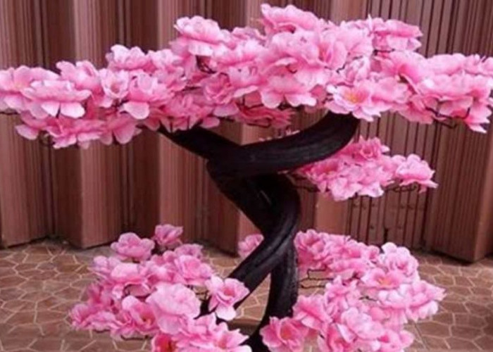 5 Tanaman Hias Ini Bukan Cuma Cantik, Tapi Dipercaya Hadirkan Rezeki, Harmoni dan Keberuntungan Imlek 2026