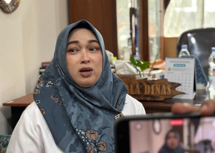 Gercep! BBWS Siapkan Desain Pengaman Tebing