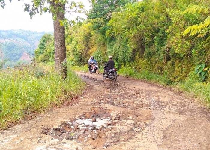 Kiri Jurang Kanan Tebing, Jalan Penghubung Antar Desa Rusak Lagi