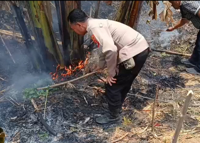 Kebakaran Lahan Kosong di Bongas Wetan Majalengka, Diduga Akibat Pembakaran Sampah