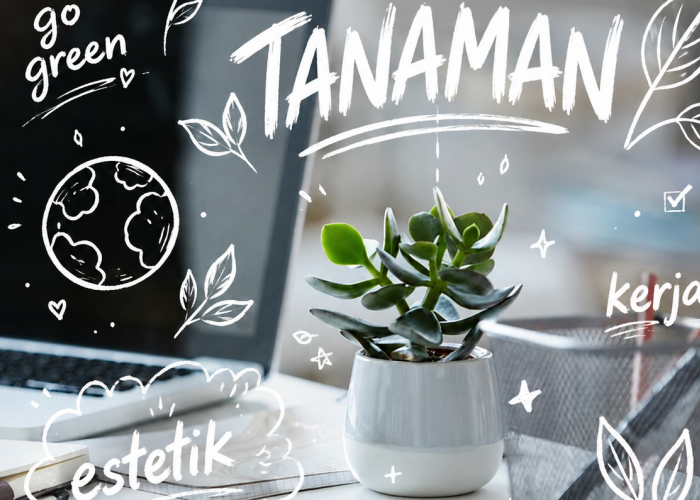 10 Jenis Tanaman Hias untuk di Kantor yang Minim Pencahayaan dan Perawatan, Menambah Estetik Ruangan