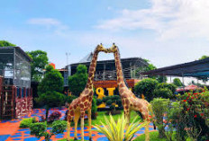 5 Rekomendasi Tempat Wisata Libur Lebaran di Kuningan yang Cocok Dikunjungi Bersama Keluarga, Dijamin Seru!