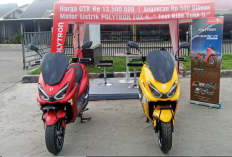 Tetap Terjangkau! Daftar Harga Motor Listrik Polytron Fox Series di Tahun 2026 Tanpa Subsidi Rp7 Juta