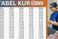 Simulasi Angsuran KUR BRI 2025, Berikut Plafon Pinjaman Selengkapnya dengan Tabel Cicilan