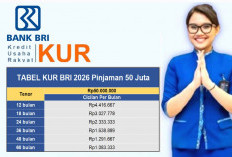 Simulasi Tabel Angsuran KUR BRI Tabel Pinjaman 50 Juta: Cicilan Mulai Rp216 Ribuan, Bunga Super Ringan!