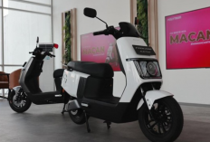 Harga Dipangkas Sampai Rp7 Juta, Polytron Fox Series Ramai Diburu karena Fitur Modern dan Hemat Harian