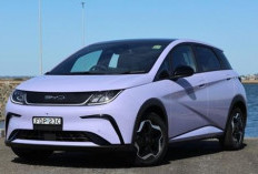 4 Rekomendasi Mobil Listrik Hemat Daya, Tapi Cocok Dipake Seharian Driver Grab! Cuma 300 Jutaan