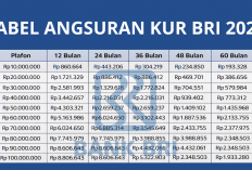 Update Terbaru KUR BRI 2026: Tabel Angsuran Lengkap Rp10 Hingga Rp200 Juta Bunga Rendah!