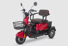 Pilihan Tepat untuk 4 Motor Listrik Roda 3 Buatan Indonesia, Asli 100 Persen Lokal dengan Harga Bersahabat