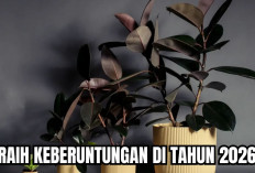 Rawat 7 Tanaman Hias yang Membawa Keberuntungan di Rumah Kamu Selama Tahun 2026! 
