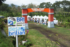 Jangkau 5.245 Desa BRILiaN, BRI Perluas Dukungan bagi Pengembangan Ekonomi Desa