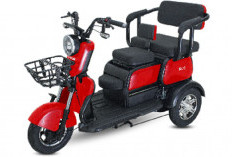 Solusi Kendaraan Serbaguna! Ini 5 Motor Listrik Roda 3 Cocok untuk Harian & Usaha, Harga Mulai Rp15 Jutaan