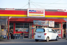 Segini Modal yang Diperlukan untuk Punya Alfamart, Cek Berapa Biaya Royalti Franchise Alfamart dan Balik Modal