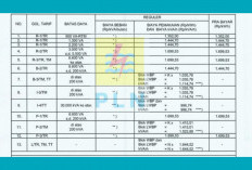 Cek Sekarang! Daftar Tarif Listrik Pelanggan PLN per kWh Terbaru untuk Semua Golongan