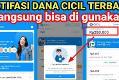 Cara Mengaktifkan Dana Cicil di DANA, Langsung Cair Hingga Limit Rp10 Juta Tanpa Syarat Rumit