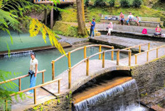 Dijamin Gak Nyesal! 7 Tempat Wisata yang Cocok untuk Liburan Tahun Baru di Majalengka