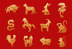 Tahun Full Hoki Untuk 5 Shio ini Di Tahun Kuda Api! Cek Daftarnya Di Sini!