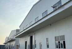 Lowongan Kerja Majalengka untuk Lulusan SMA di Pabrik Sepatu, PT Home Well Indonesia, Khusus Perempuan