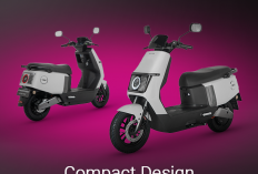 Ready Stok Tanpa Inden, Ini Daftar Pilihan Motor Listrik Polytron Fox Series dari yang Murah hingga Premium