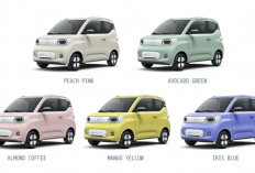 Harga Mobil Listrik Imut Ini Cuma Rp100 Jutaan? Wuling Macaron 2026 Jadi Sorotan 