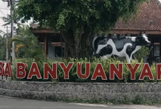Intip Kisah Desa Banyuanyar, Desa Ramah Lingkungan yang Terus Maju Lewat ‎Pemberdayaan Desa BRILiaN ‎