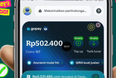 Cara Bisa Dibayar Saldo Gopay dan DANA hingga Rp500 Ribu dari Aplikasi Penghasil Uang Gratis 2026 Tanpa Modal