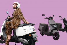 Mulai 300 Ribuan per Bulan, Skema Kredit Polytron Fox 200 Bikin Motor Listrik Ini Makin Mudah