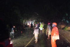 Viral Video Kemacetan di Jalan Provinsi Maja - Talaga, BPBD: Bukan Longsor