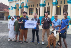 Rayakan Iduladha 1447 H, FIFGROUP Kadipaten Tebar Kurban untuk Masyarakat Majalengka