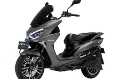 Punya Fitur Reverse, Tembus 130 Km, Berikut Keunggulan dan Harga Motor Listrik Polytron Fox R