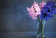 Simple Bikin Estetik! 6 Tanaman Hias dalam Vas yang Bikin Ruangan Langsung Cantik & Segar