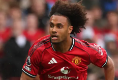 Joshua Zirkzee Masuk di Radar Juventus! Old Trafford Auto Panik Usai Permintaan Spalletti