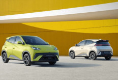 Harga Mobil EV BYD Atto 1 Bekas Segini? Mending Atau Mahal?