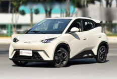 Tersedia Cicilan Rp 1 Jutaan, Cek Skema Kredit, Tenor, dan Spesifikasi Lengkap BYD Atto 1