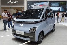 Mau Gaya Tapi Irit? Ini 5 EV di Bawah 200 Juta Dari Wuling Sampai DFSK yang Paling Worth It!