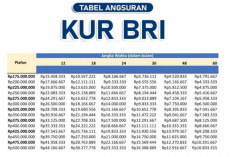 Modal Awal Tahun, Berikut Tabel Angsuran KUR BRI 2026 Plafon 50 Juta Cicilan Mulai 300 Ribuan