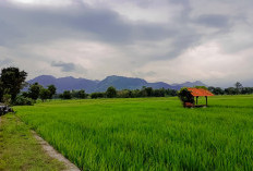 Rekomendasi 8 Tempat Ngabuburit Street di Majalengka, Gratis & View Alamnya Bikin Adem!