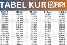Edisi Awal Tahun, Berikut Tabel Angsuran KUR BRI 2026 Terbaru, Cicilan Teredah Cuma 200 Ribuan Plafon 50 Juta