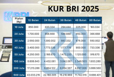 Tabel Angsuran KUR BRI Rp50 Juta Terbaru: Bunga Rendah, Cicilan Ringan, Cocok untuk Modal Usaha!