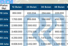 Tabel KUR BRI Pinjaman 100 Juta, Rasakan Modal Tambahan untuk Ekspansi Usaha dengan Cicilan Segini
