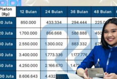 KUR BRI 2026 Tabel Angsuran 10 Juta Sampai 50 Juta, Cicilan Ringan dan Tenor Fleksibel Hingga 60 Bulan 