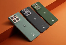 Motorola Edge 70 Fashion Bikin Penasaran, Harganya Ternyata Segini?