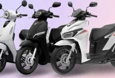 Harga Mulai Rp10 Jutaan, Ini 5 Rekomendasi Motor Listrik VinFast dengan Mesin 3000 Watt, Jarak 165 Km