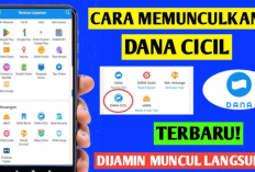 Cara Mengaktifkan DANA Cicil di DANA Hingga Muncul Fitur Pinjaman dengan Limit Rp20 Juta Modal Nomor Hp